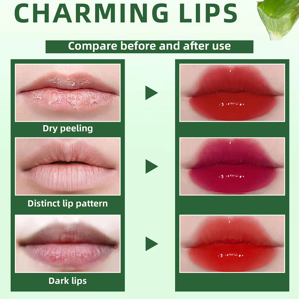 6 Color Lip Tint Stain Set Plumping Liquid Lipstick Aloe Vera Watery Lip Stain Lip Gloss Multi-Use Moisturizing Lip & Cheek Tint